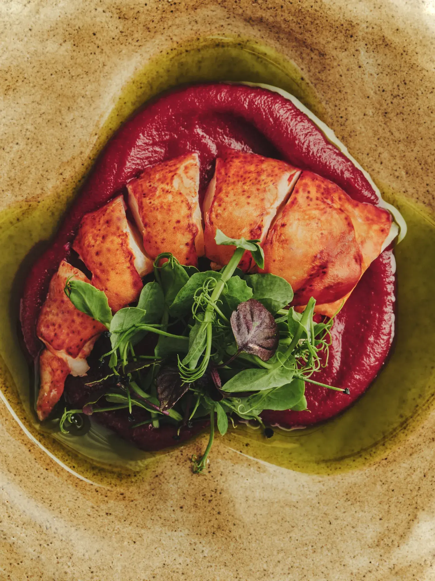 Lobster with beetroot purée and young shoots