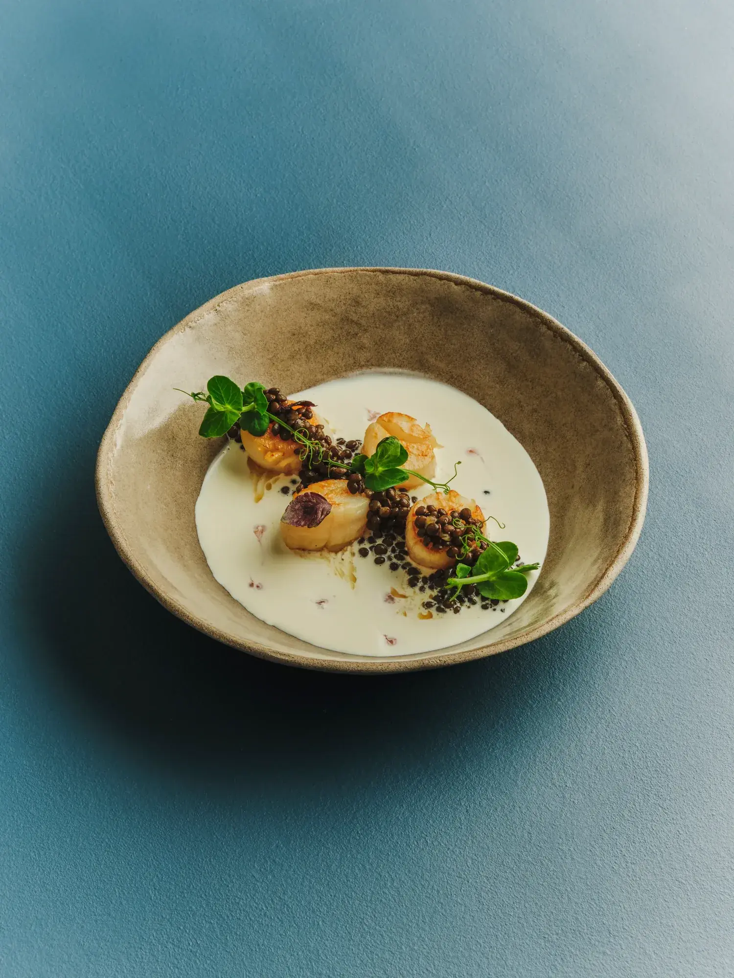 Scallops served with a creamy sauce in a stoneware bowl on a blue surface