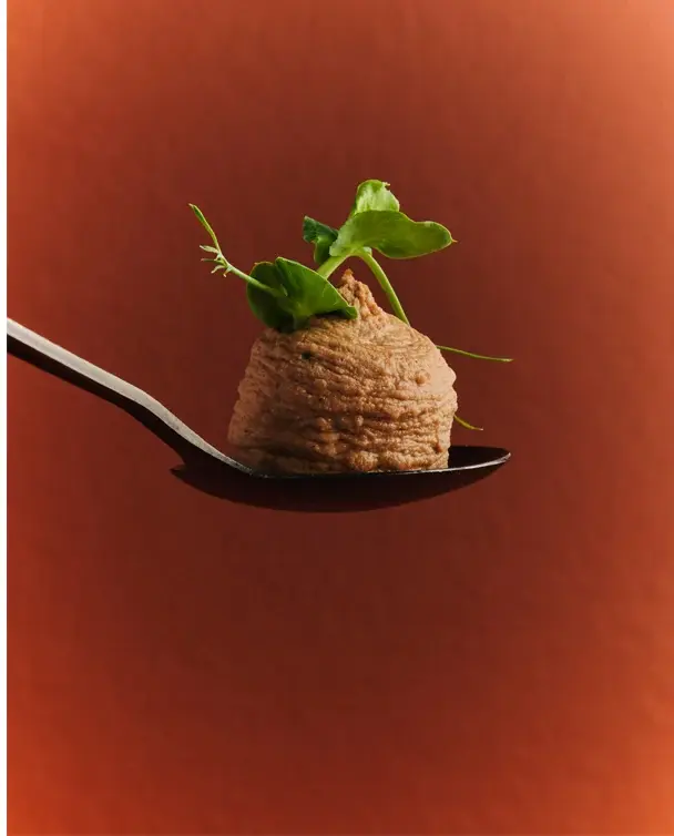 Pâté with pea shoots on a spoon
